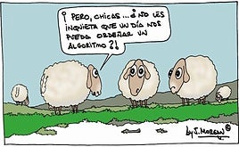 La viñeta de Morgan de este miércoles 19 de noviembre