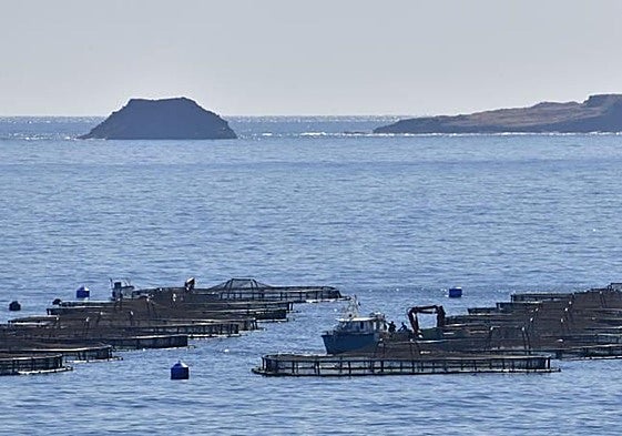 Foto de archivo de las jaulas marinas de Telde.