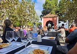 Santa Brígica con Vino 2025 está resultando todo un éxito durante este mes de noviembre.