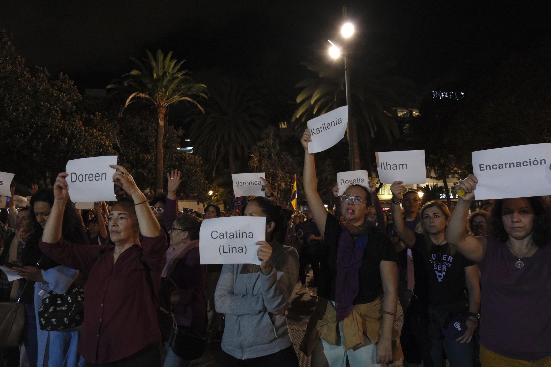La manifestación del 25N, en imágenes