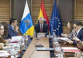 El vicepresidente de Canarias, Manuel Domínguez.