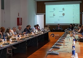 Consejo de Gobierno de la ULPGC celebrado este miércoles.