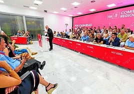 Torres, en una intervención ante el Comité Regional del PSOE.