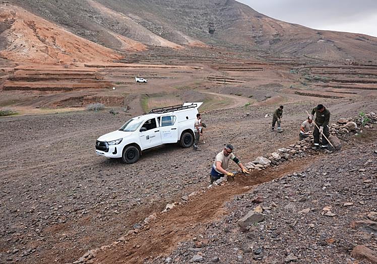 Restoration Efforts in Vallebrón