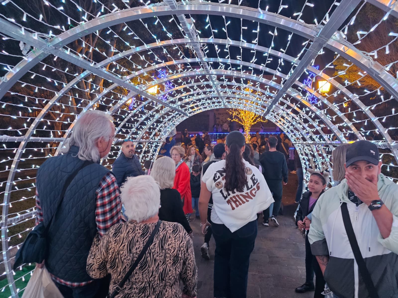 La inauguración de la Navidad en Telde, en imágenes