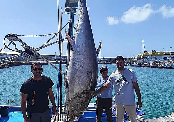 En marzo de 2025, los hermanos Iván y Lucas Trujillo, marineros de Morro Jable, cogieron el primer atún rojo de la temporada en toda Canarias.
