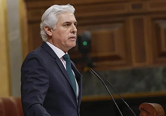 El diputado del PP Carlos Sánchez.