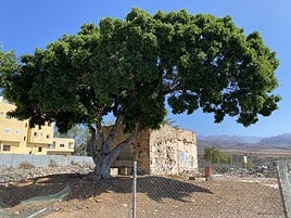 Vista de la Casa del Mato.