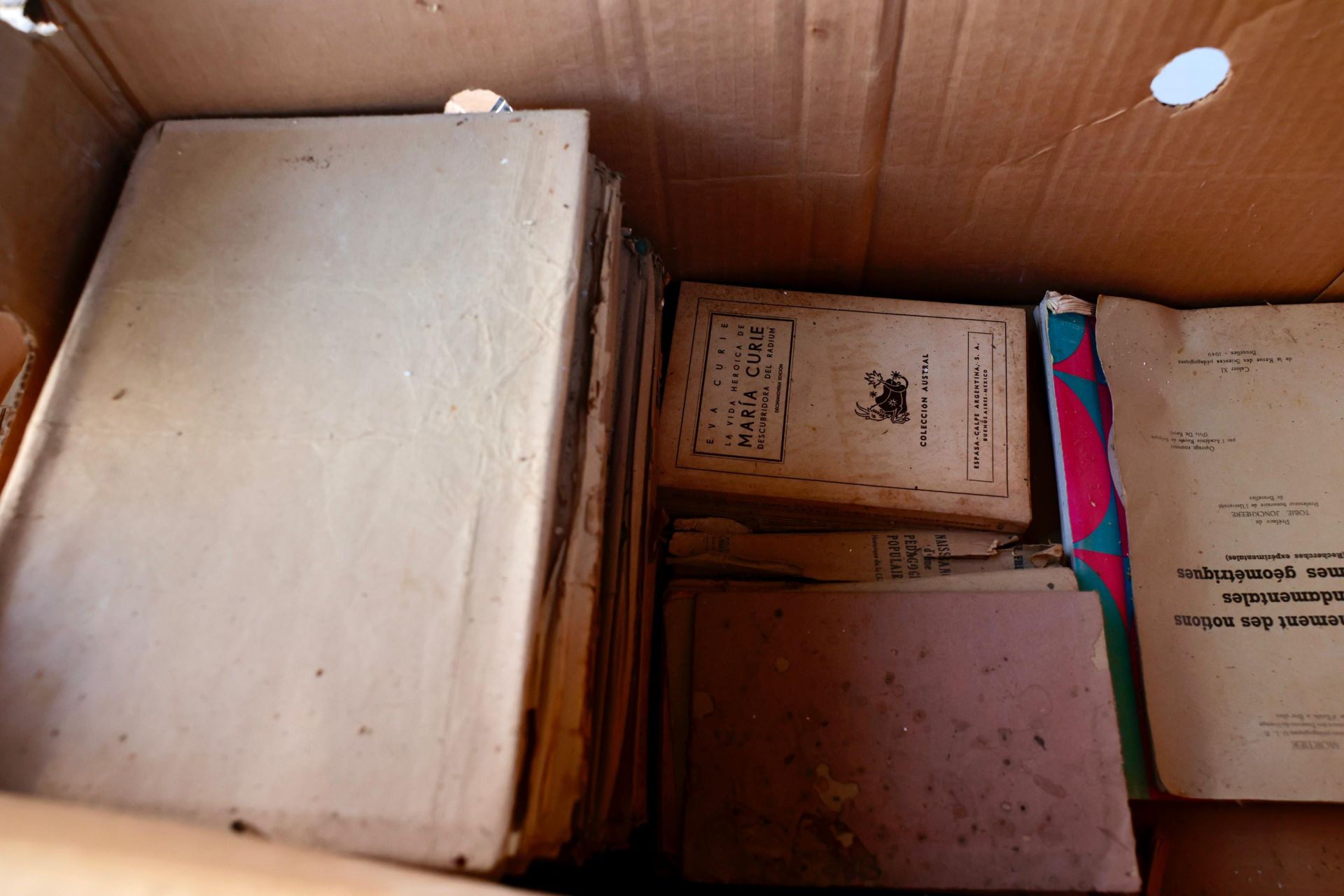 Imagen secundaria 1 - El archivo de los esposos Caparrós Delgado que esquivó la censura