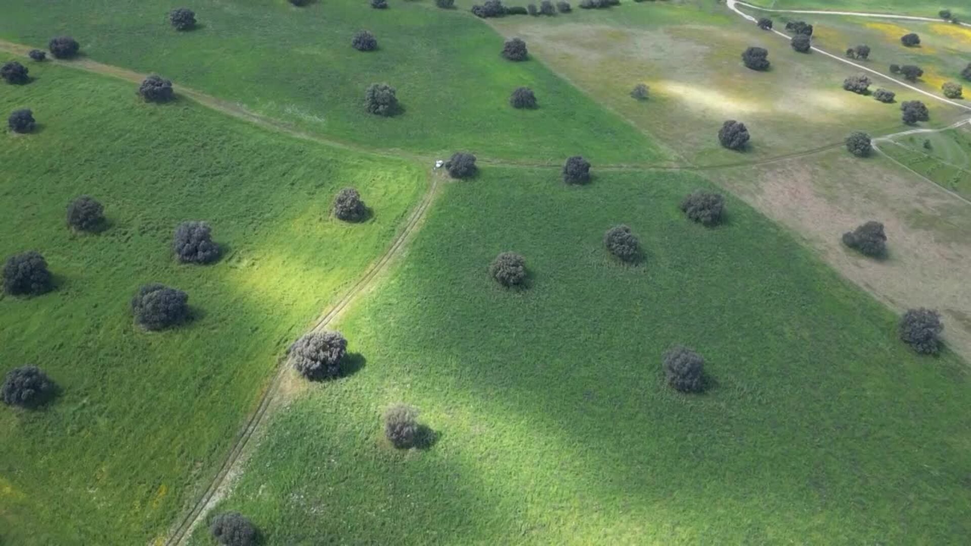 Dehesa El Milagro impulsa su modelo ecológico desde Alcañizo hacia el comercio online y grandes supe