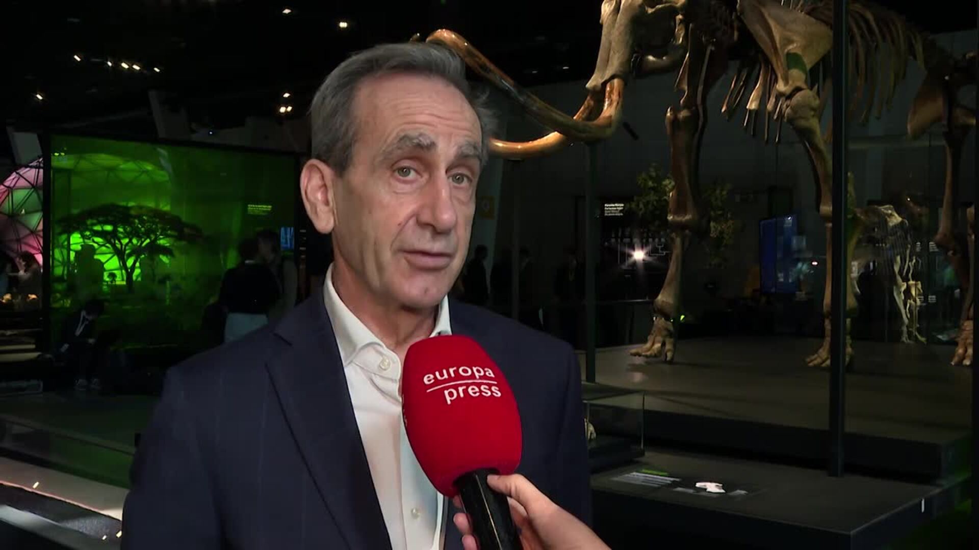 El CosmoCaixa de Barcelona expone un esqueleto real de mamut lanudo de hace 40.000-50.000 años