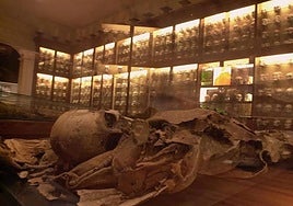 Un equipo de la ULPGC recrea el rito mortuorio de los aborígenes: «La momificación canaria era natural, no intencionada»