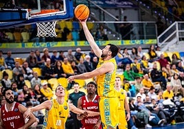Gran Canaria-Pallacanestro Trieste: Europa otra vez de bálsamo para olvidar las penas ligueras