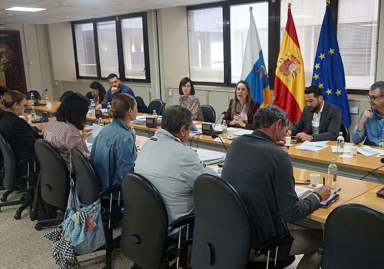 Canarias activará este año el bono que permitirá coger guaguas gratis en todas las islas