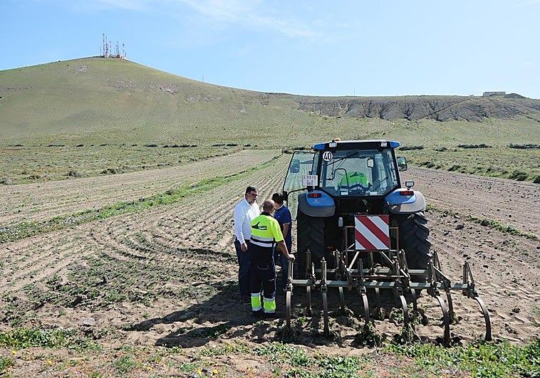 Arado y rastrillado en fincas de San Bartolomé