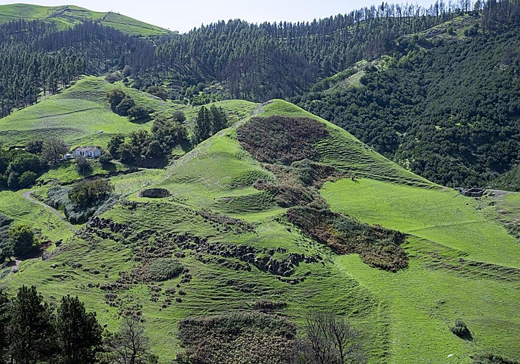 La masificación hace mella en Monte Pavón