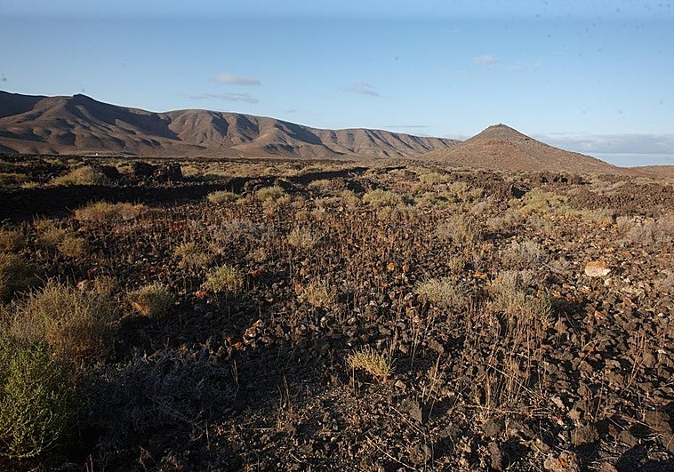 Los majos, hace unos 2.000 años, tendrían una gestión sostenible de la vegetación