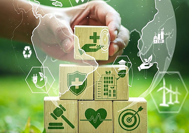 Los fondos de inversión españoles sostenibles y su huella de carbono