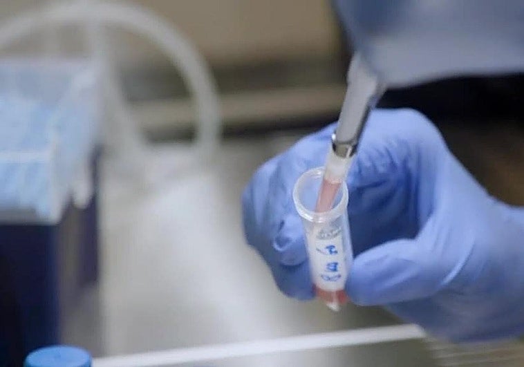 Canarias destina 54,8 millones para la compra de medicamentos de terapias génicas