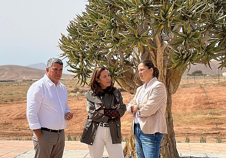 El PP se acerca a Alóe Vera Internacional, en Tiscamanita