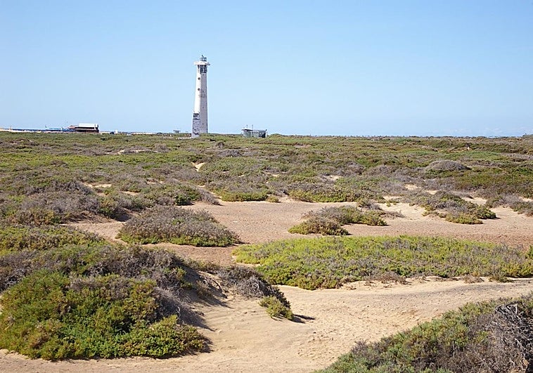 Pacma critica la futura ley de biodiversidad canaria por «ignorar el bienestar animal»