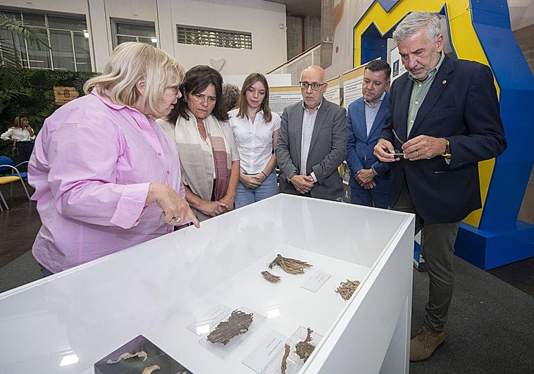 Confirmado: la población prehispánica segaba los cereales con lascas de basalto