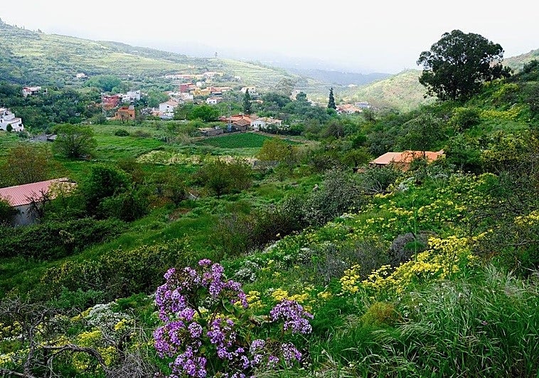 El sol enciende los colores en las medianías de Gran Canaria