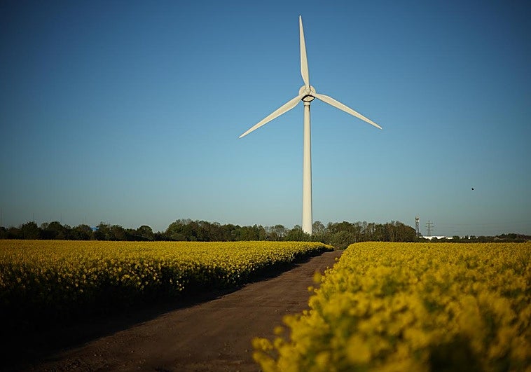 Wind Europa: otra oportunidad perdida