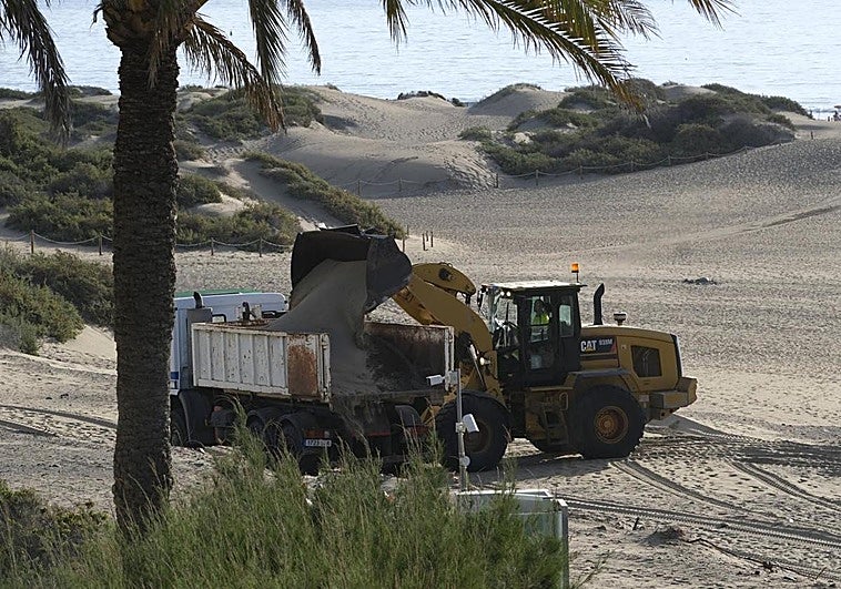 El Cabildo pide permiso a Costas para mover 14.400 metros cúbicos de arena de las dunas de Maspalomas a la orilla de Playa del Inglés