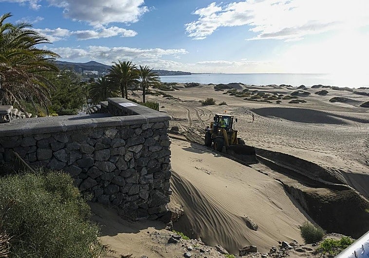 Cerca de hamacas y kioscos se eleva a un 64% el volumen de arena perdido en las dunas