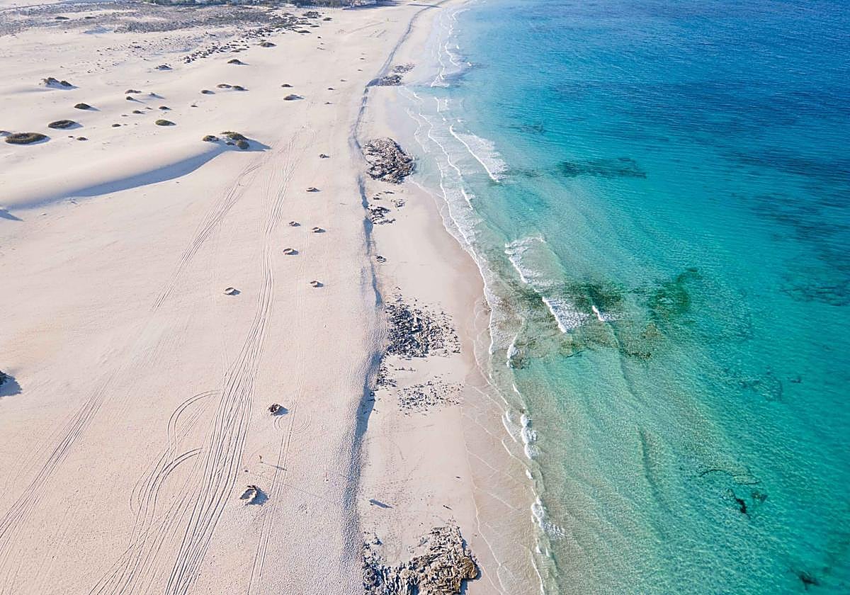 Corona ranks Grandes Playas de Corralejo among the best beaches in the world in its Beach 100 for 2026. Corona ranks Grandes Playas de Corralejo among the best beaches in the world in its Beach 100 for 2026.