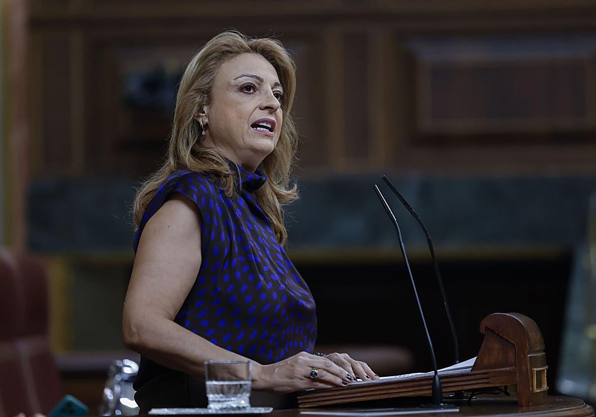 Coalición Canaria solo apoyará el primero de los decretos de vivienda – Canarias7