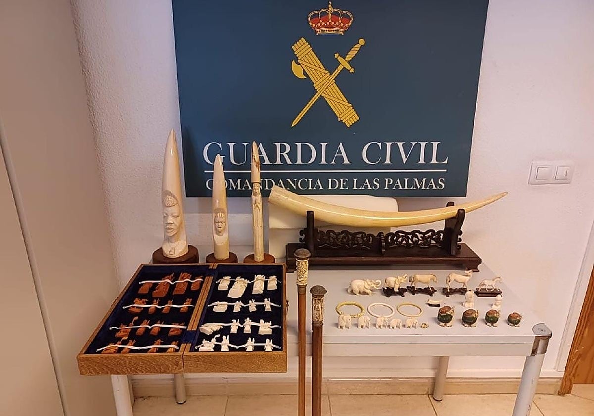 Intervenida una colección de marfil por no presentar la documentación de procedencia legal en Las Palmas