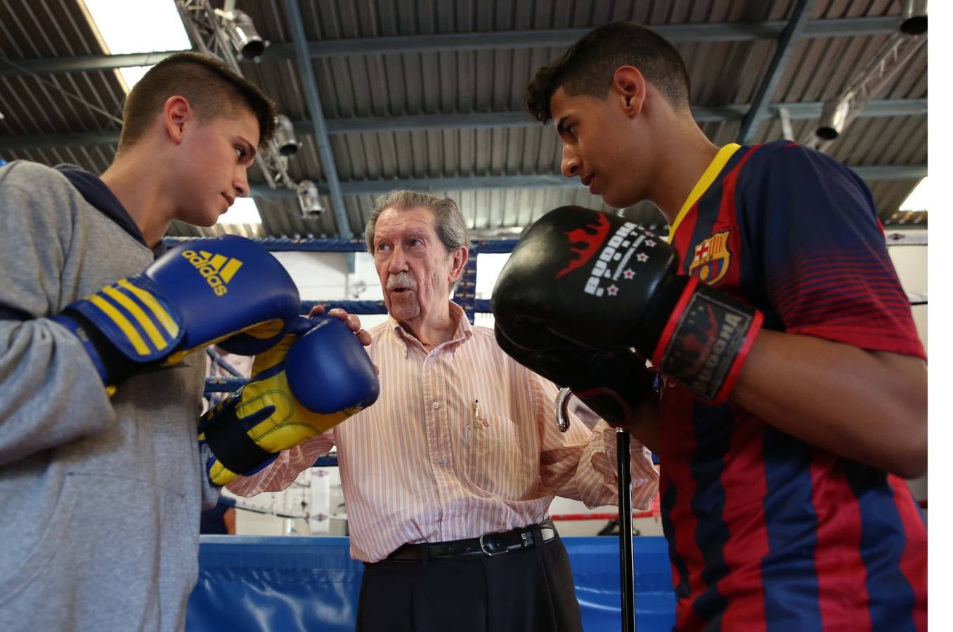 Alcántara, de nuevo en el ring