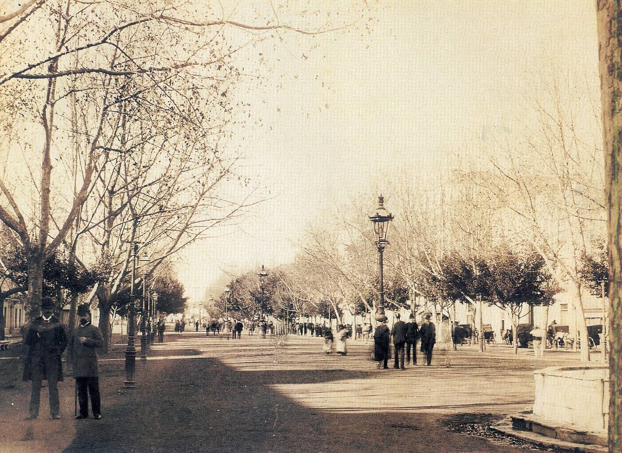 Alameda con árboles otoñados y escasos paseantes. (J. E. Puig, h. 1880)