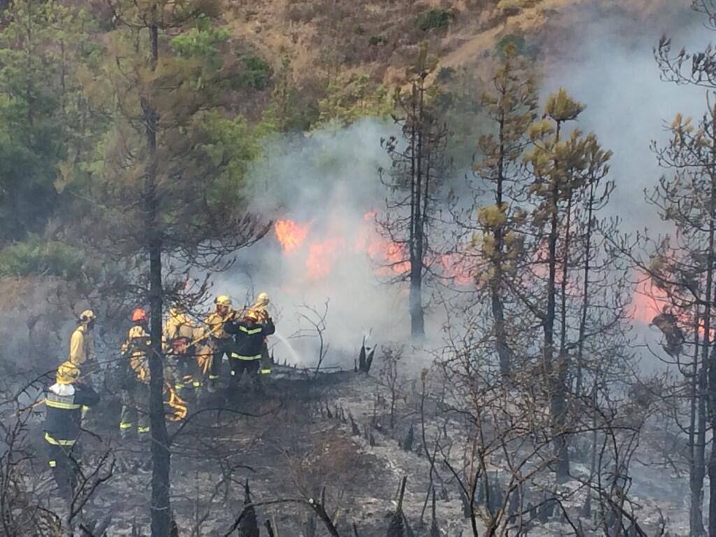 Los bomberos, trabajando contra las llamas @bomberosdemijas