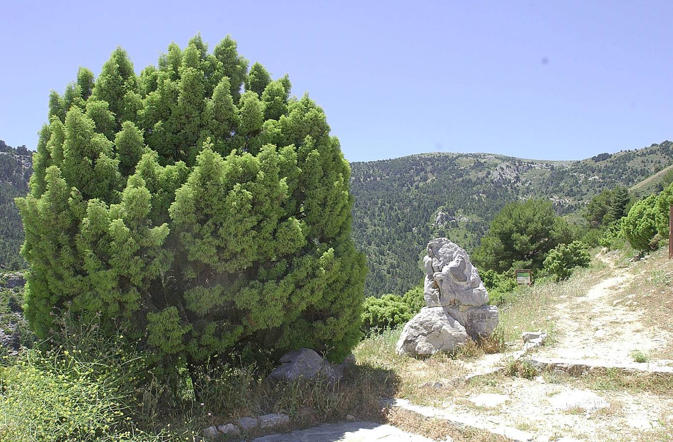 La Sierra de las Nieves, espectacular también en verano