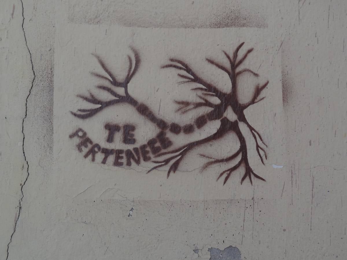 Un paseo fotográfico por la judería de Málaga