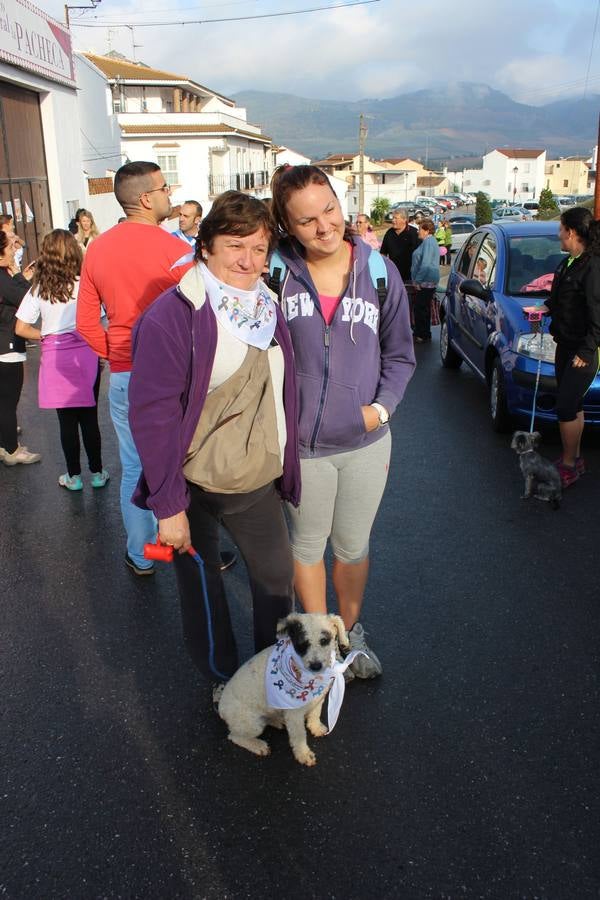Caminata contra el cáncer en Arriate