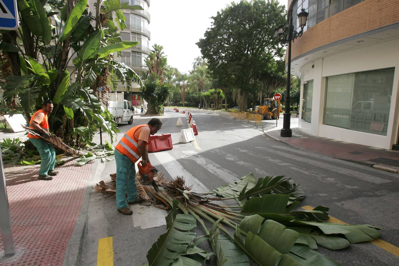 Comienzan las obras de peatonalización en el entorno de la Catedral