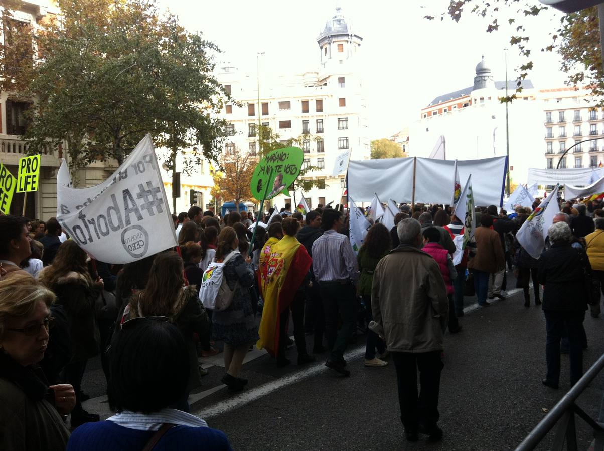 Miles de personas exigen a Rajoy que «erradique» el aborto