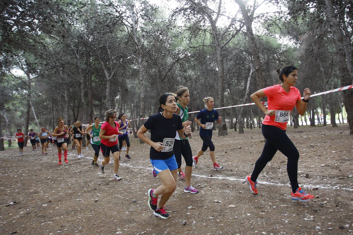 El cross de Torremolinos, en imágenes