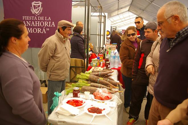 Fotos de la X Fiesta de la zanahoria morá en Cuevas Bajas