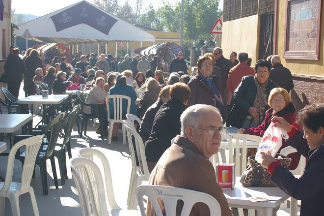 Fotos de la X Fiesta de la zanahoria morá en Cuevas Bajas