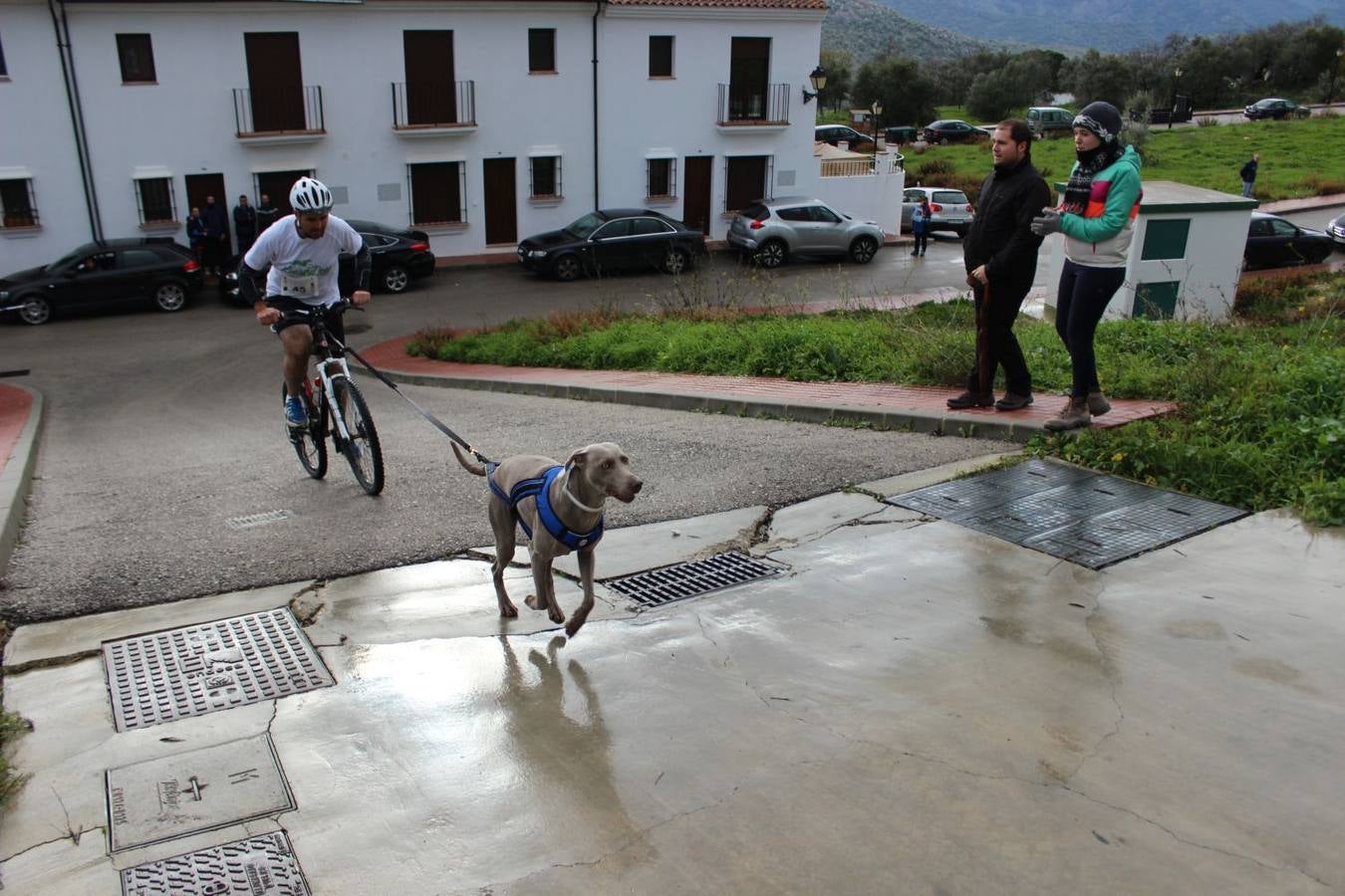Montejaque celebra su I Canicross