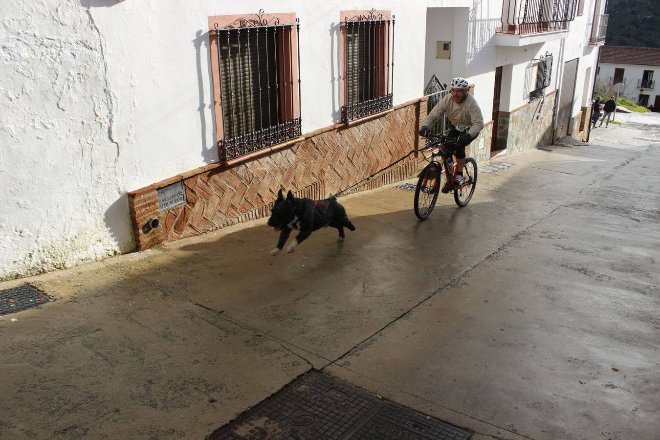 Montejaque celebra su I Canicross