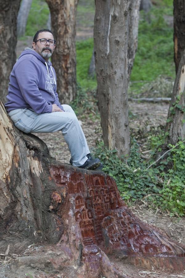 Troncos tallados