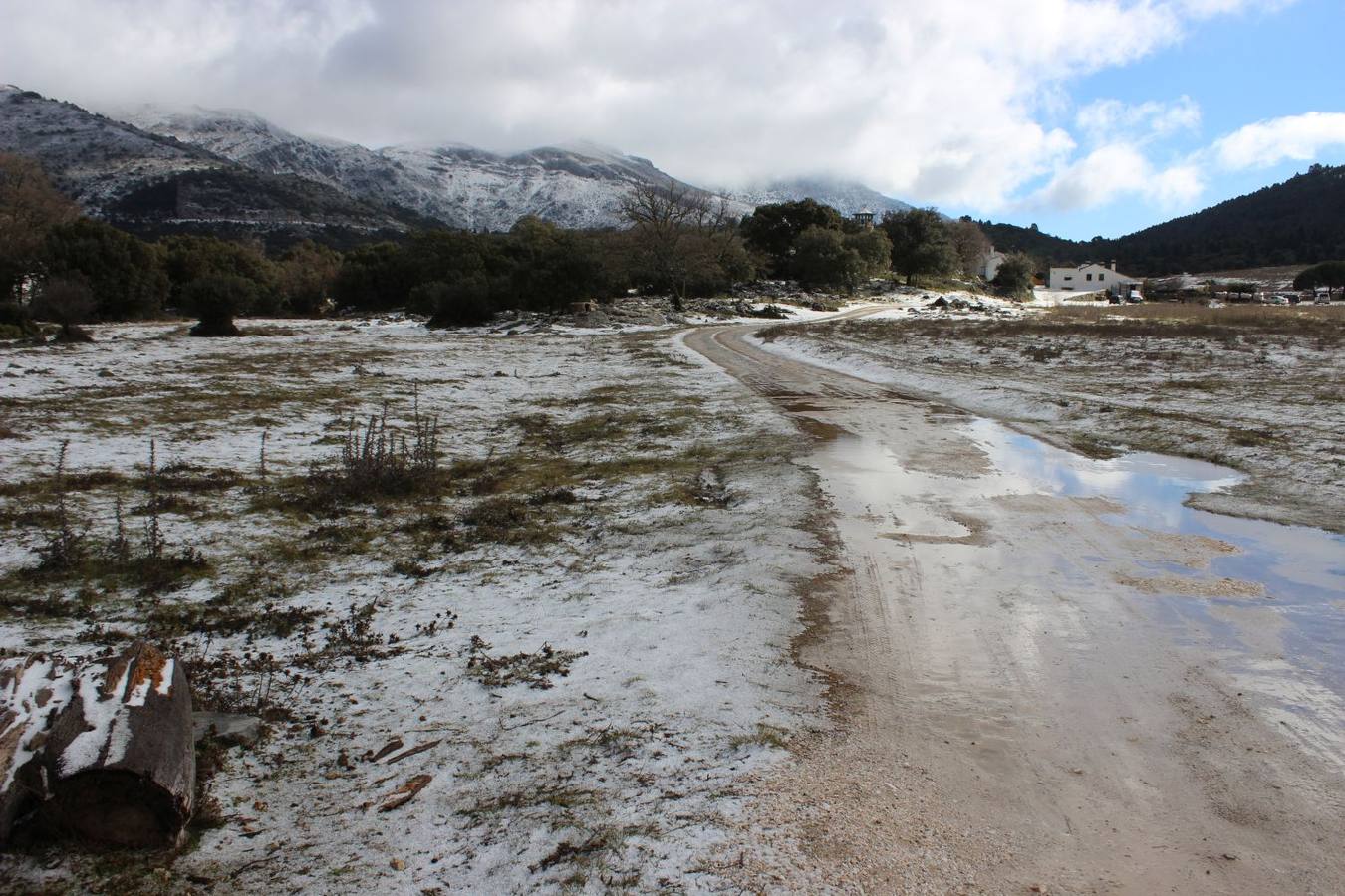 Nieva en distintos puntos de la Serranía de Ronda