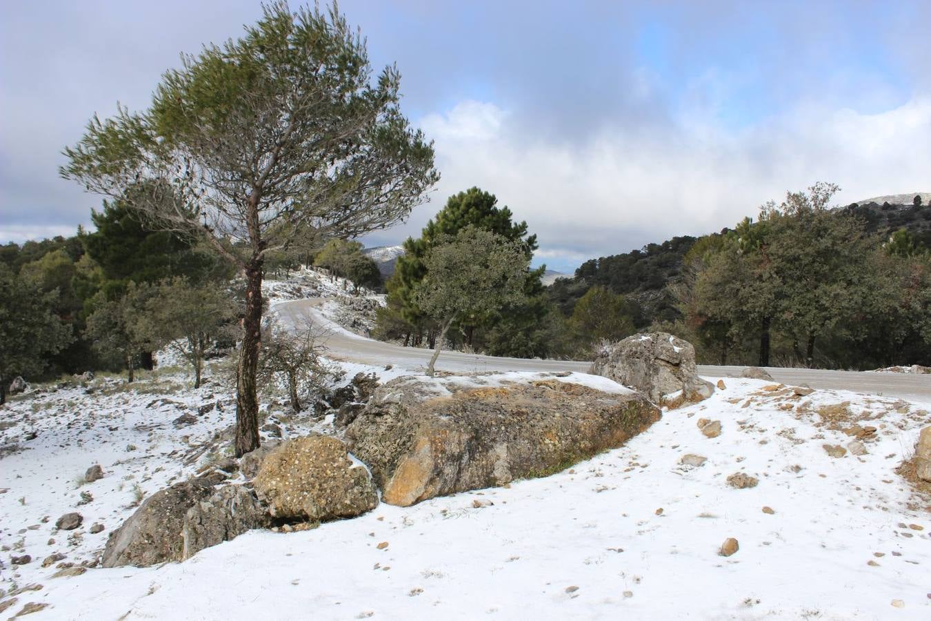 Nieva en distintos puntos de la Serranía de Ronda
