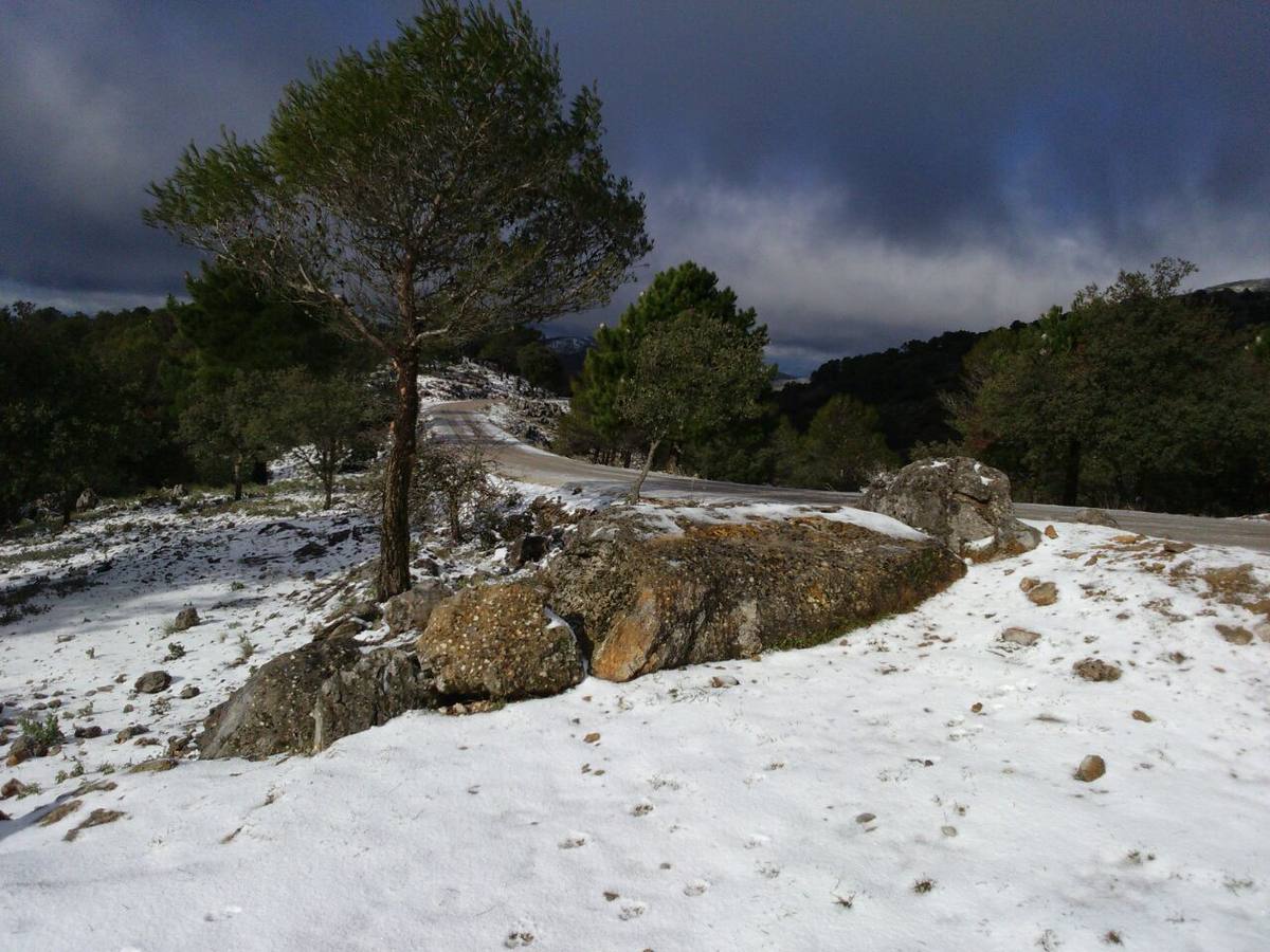 Nieva en distintos puntos de la Serranía de Ronda